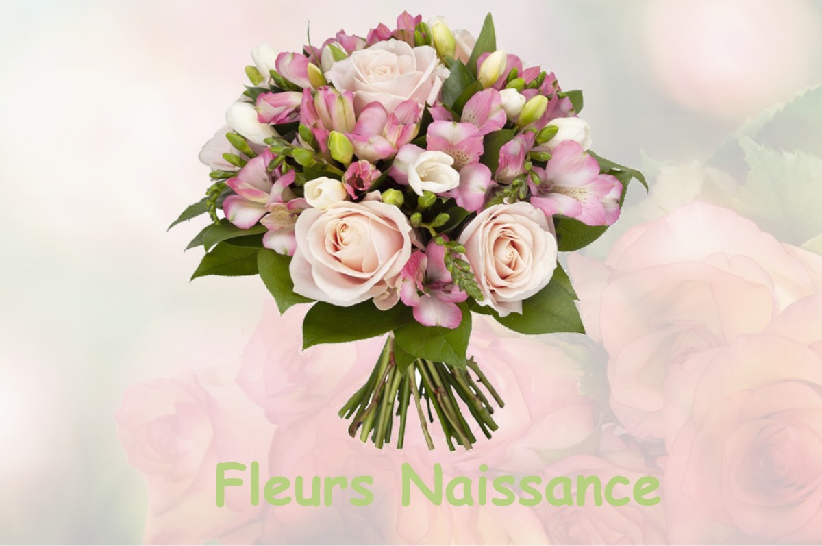 fleurs naissance LAMOUILLY