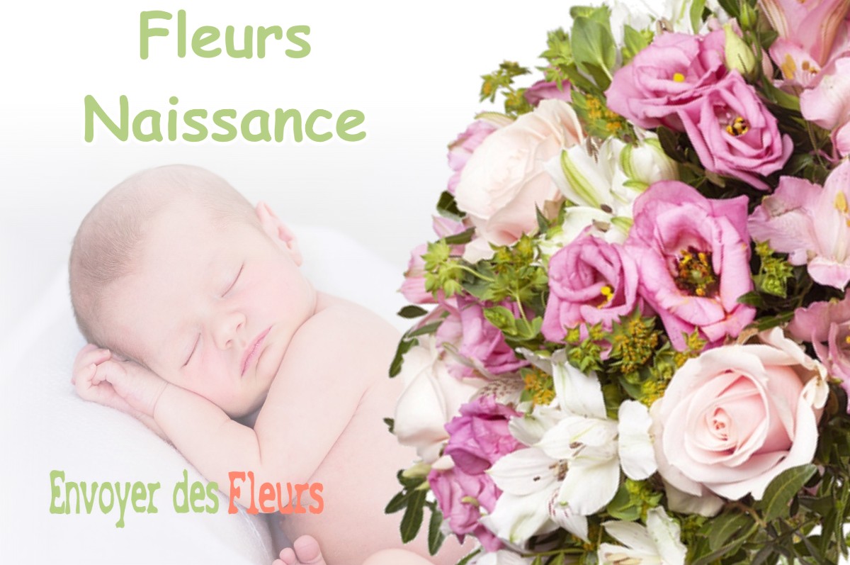 lIVRAISON FLEURS NAISSANCE à LAMOUILLY